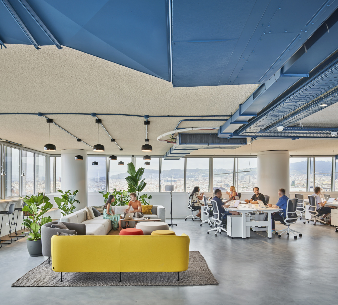 Flex torre colón - drassanes 6 8